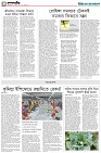 চতুর্থ পাতা